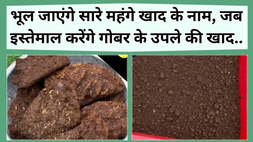 गोबर के उपले की खाद