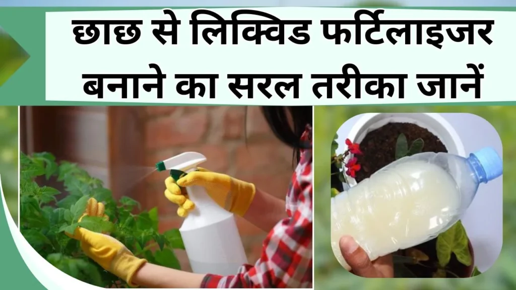 छाछ से खाद