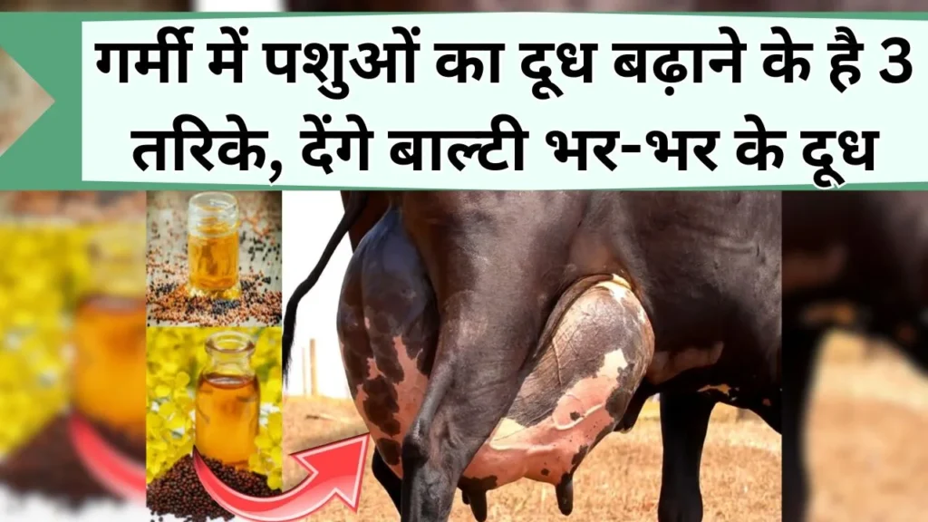 पशुओं