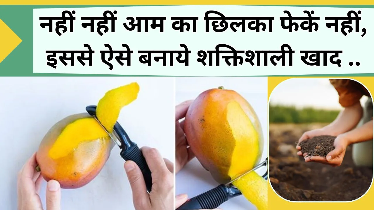 आम का छिलका
