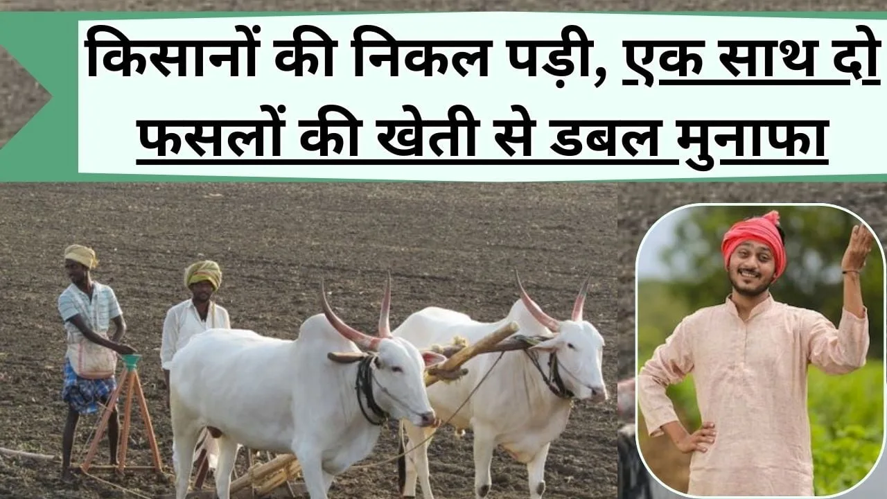 फसलों