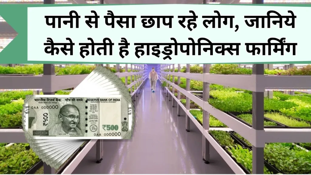 हाइड्रोपोनिक्स
