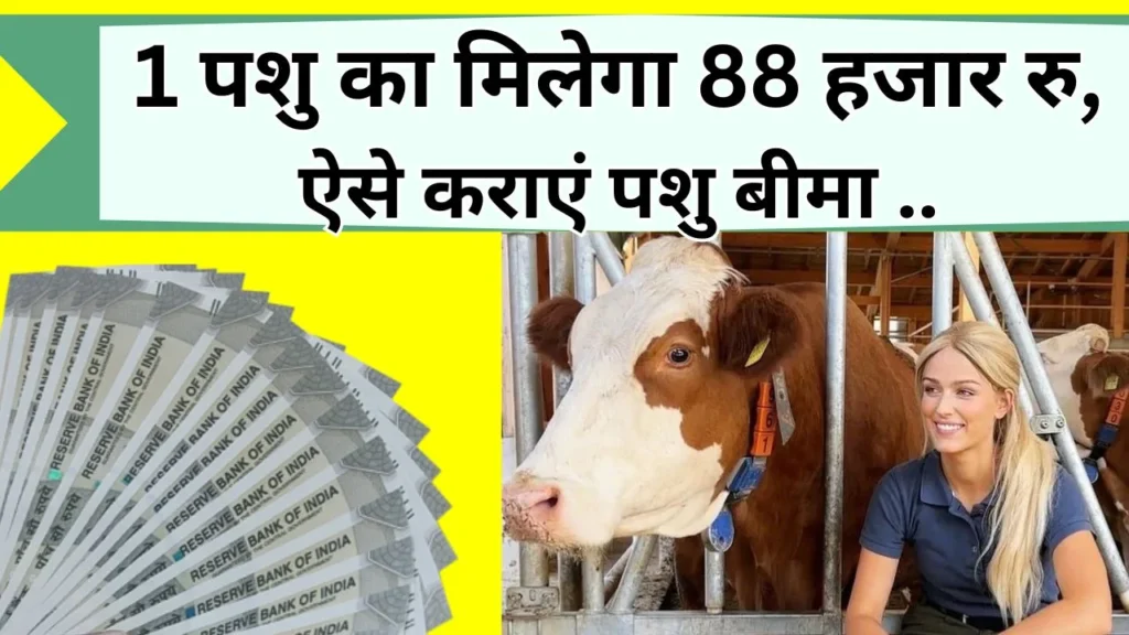पशु