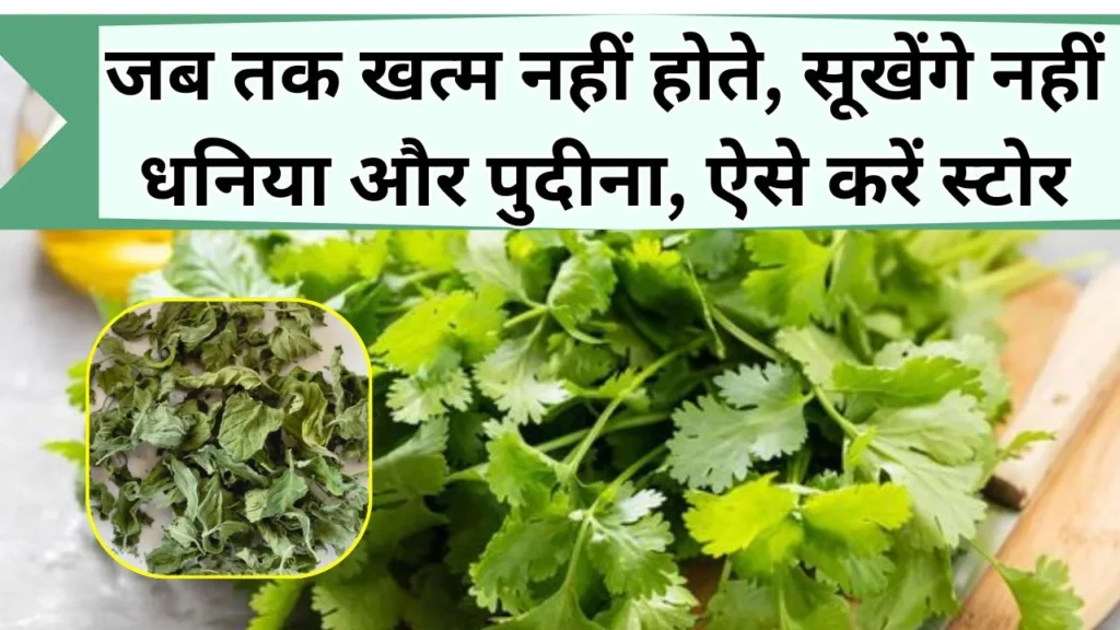 धनिया और पुदीना