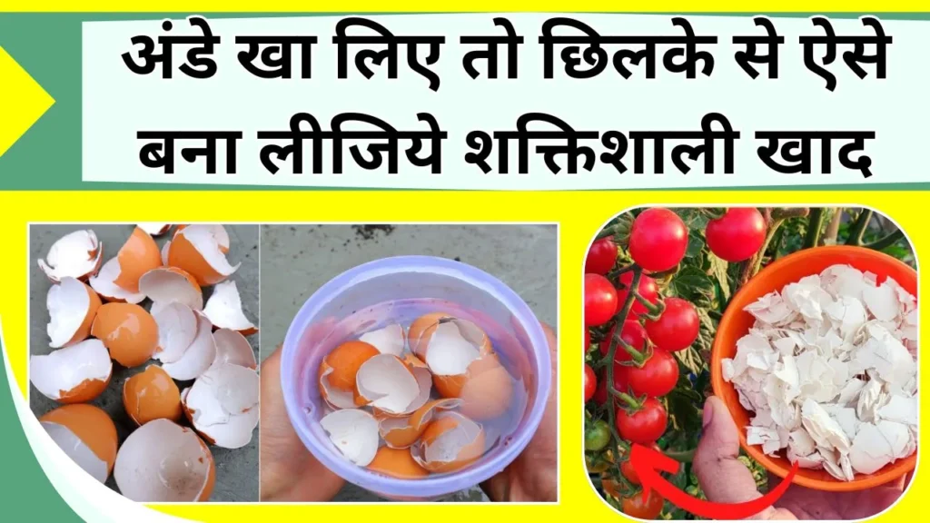 अंडे