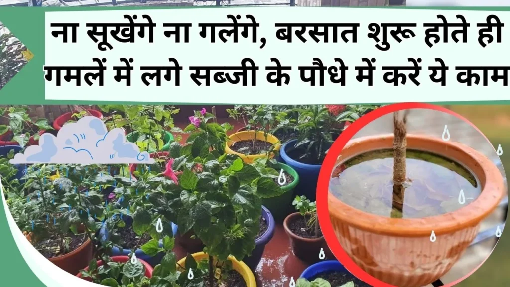 गमलों