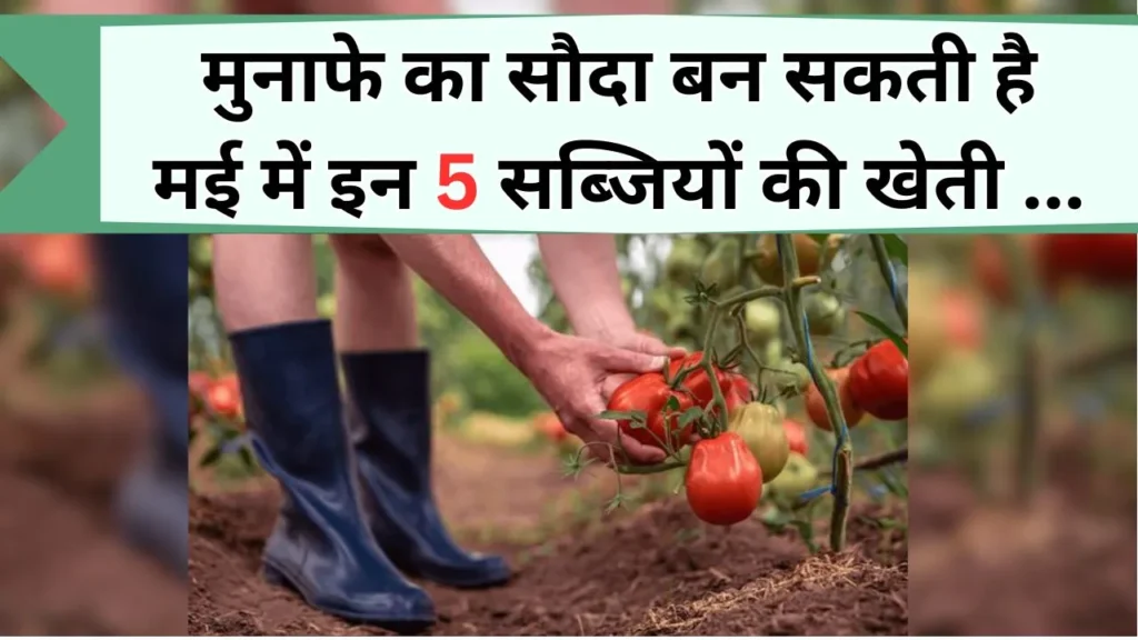 सब्जियों