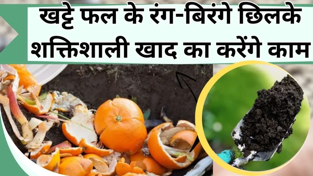 छिलके