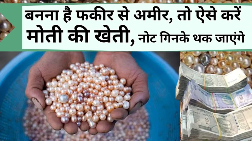 मोती की खेती