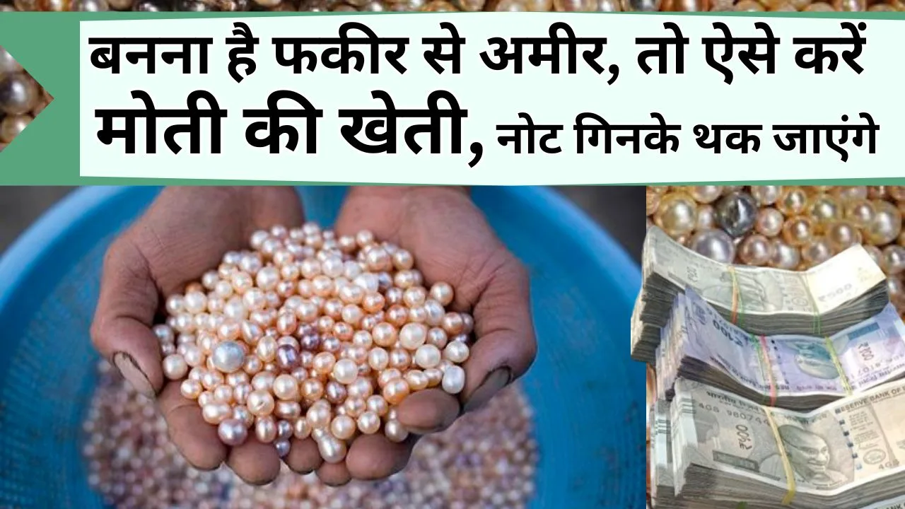 मोती की खेती